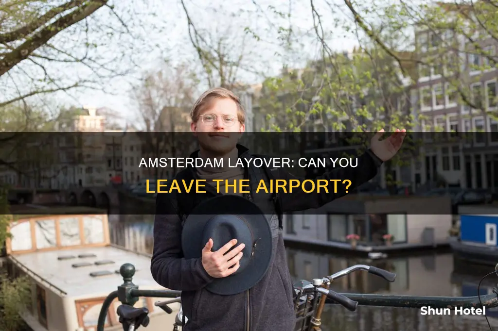 can you go out of amsterdam airport during layover