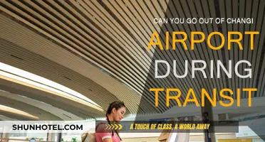 Exploring Changi During Transit: Is It Possible?