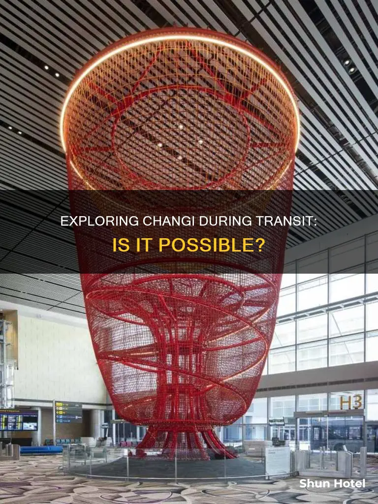 can you go out of changi airport during transit