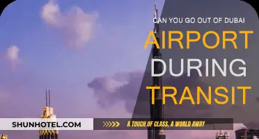 Exploring Dubai During a Layover: Is It Possible?