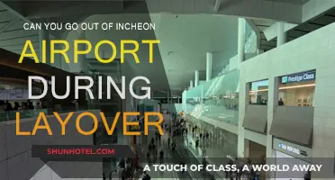 Exploring Incheon: Layover Edition