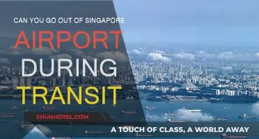Exploring Singapore: Transit Airport Layover