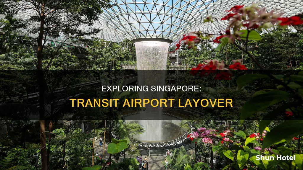 can you go out of singapore airport during transit