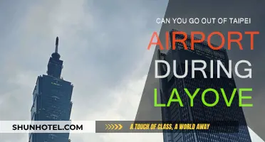 Exploring Taipei During a Layover: Is It Possible?