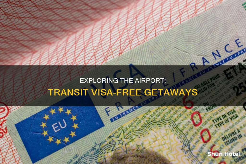 can you go out of the airport transit visa