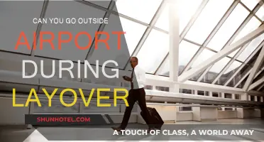 Exploring Beyond the Airport During a Layover