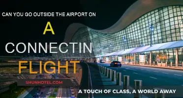 Exploring Airports: Can You Leave During Layovers?
