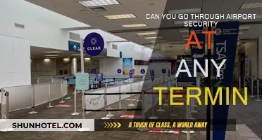 Airport Security: Any Terminal Access?