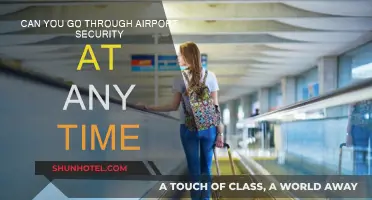 Airport Security: Anytime Access?