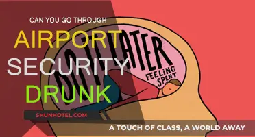 Airport Security: Drunk Passengers and Their Fate