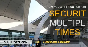 Airport Security: Multiple Trips, Multiple Checks?