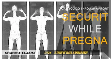 Pregnant and Flying: Airport Security Tips