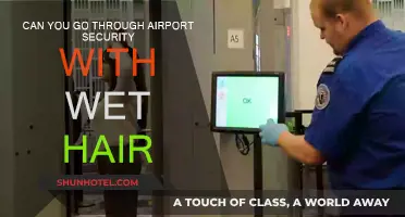 Airport Security: Wet Hair, No Problem?