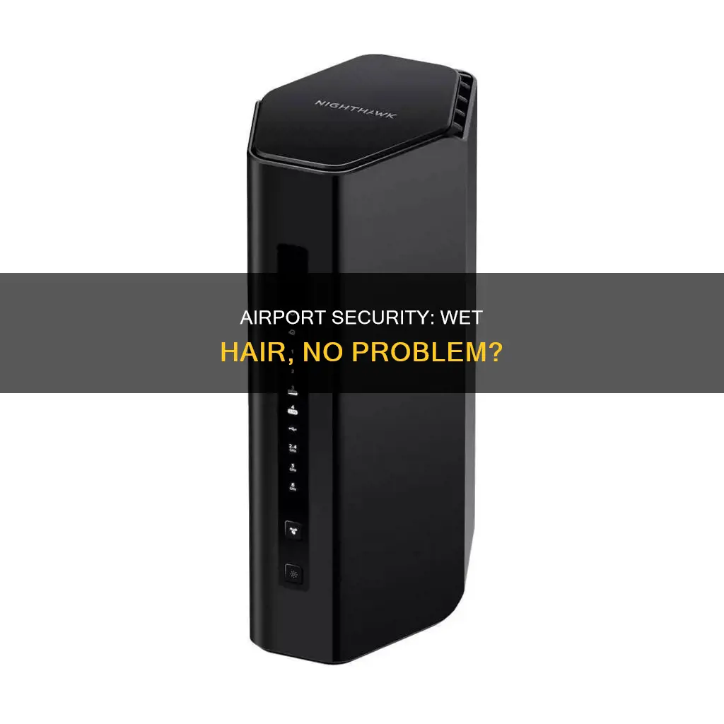 can you go through airport security with wet hair