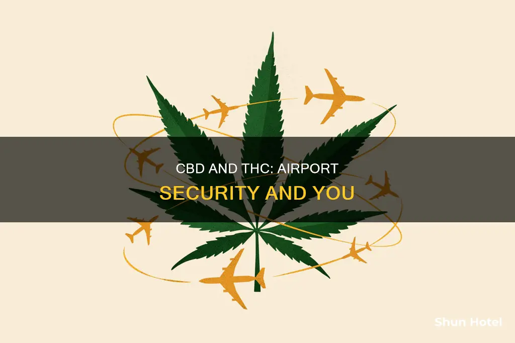 can you go through airports with cbd il with thc