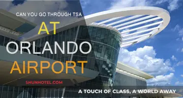 Navigating TSA at Orlando Airport: Tips and Tricks