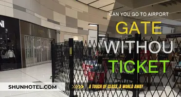 How to Access Airport Gates Without a Ticket