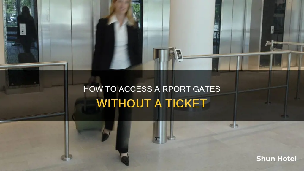 can you go to airport gate without ticket