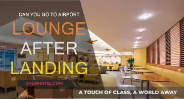 Accessing Airport Lounges: Post-Landing Relaxation