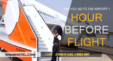 Last-Minute Airport Arrival: Is It Possible?