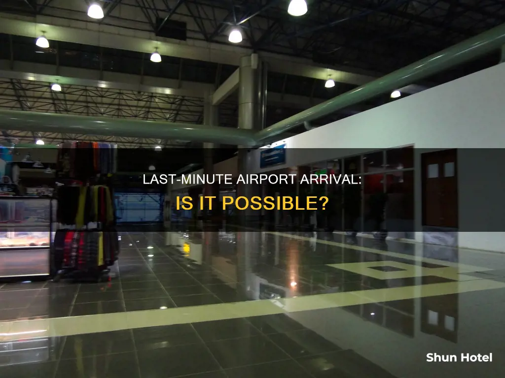 can you go to the airport 1 hour before flight