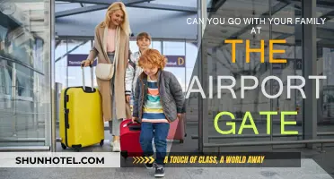 Airport Gate Companions: Can Family Tag Along?
