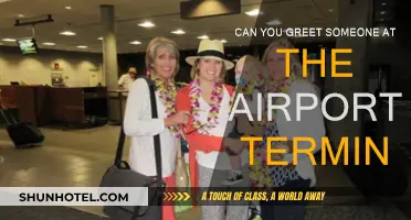 Greeting at the Airport: A Warm Welcome Home