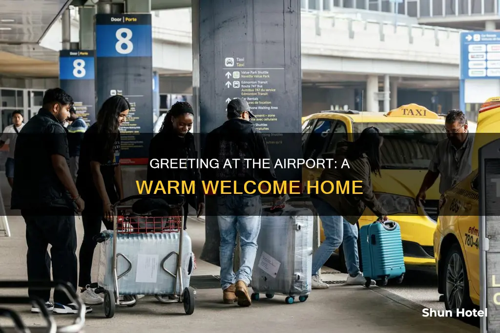 can you greet someone at the airport terminal