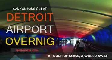 Detroit Airport Overnight: Where to Hang Out?
