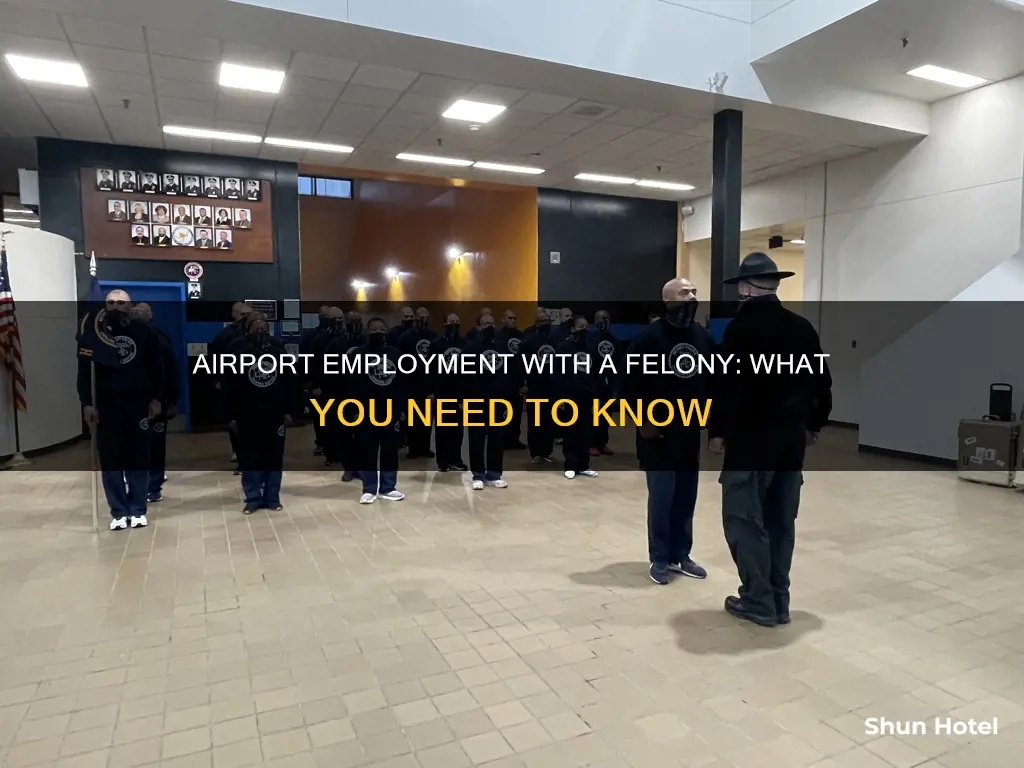 can you have a felony and work at the airport