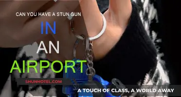 Stun Guns and Air Travel: What's the Deal?