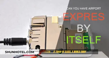 Airport Express: Standalone or Mesh Network?