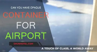 Airport Security: Opaque Containers Allowed or Not?