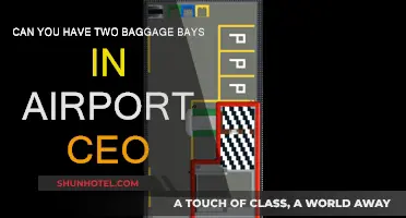 Airport CEO: Double Baggage Bays, Possible?