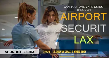 Vaping and Airport Security: What's the Deal at LAX?