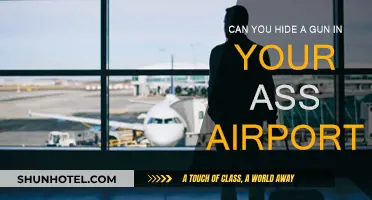 Concealing Guns: Airport Security's Worst Nightmare