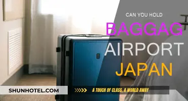 Exploring Japan: Holding Baggage at the Airport