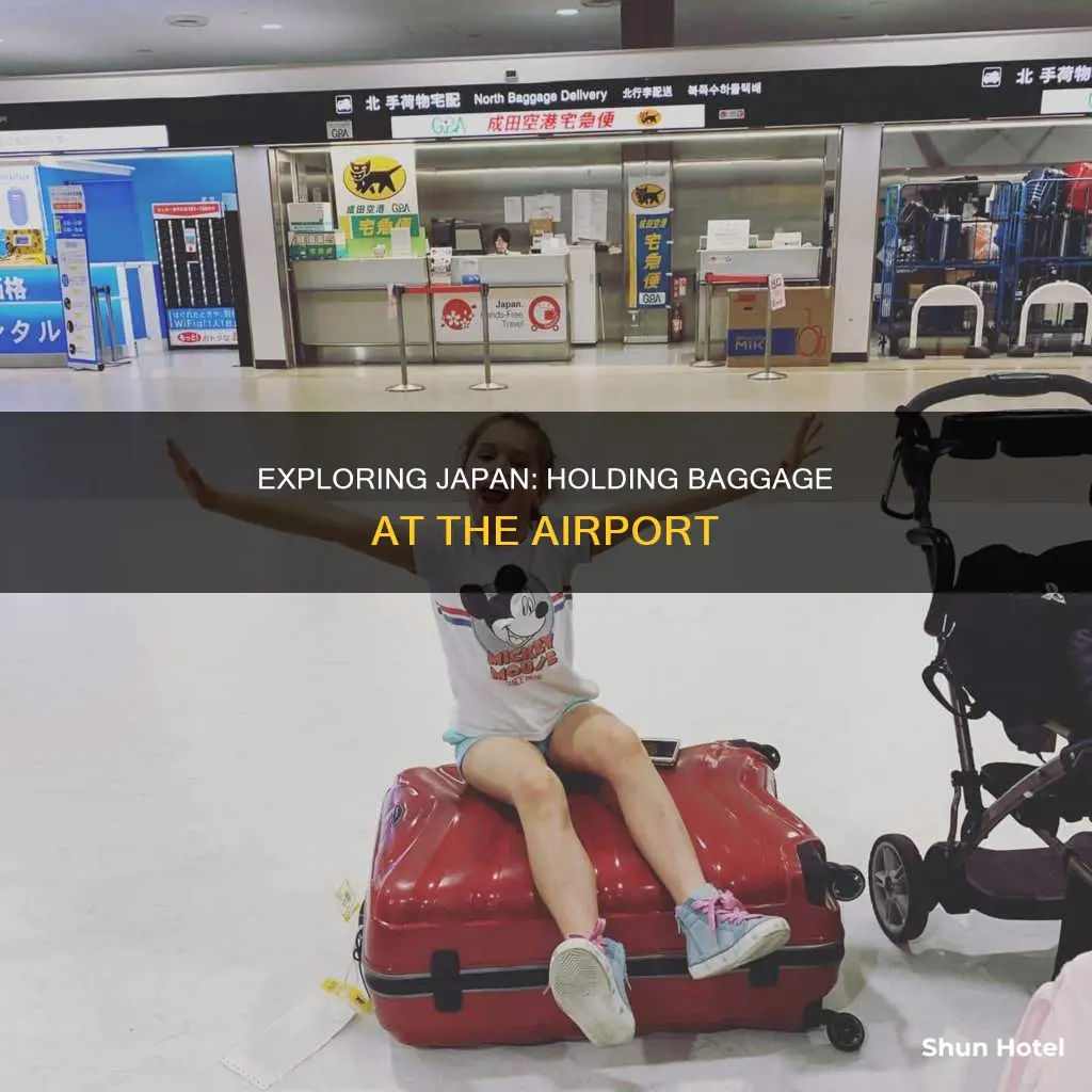 can you hold baggage airport japan