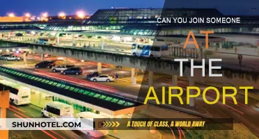 How to Welcome Loved Ones at the Airport