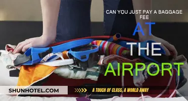 Baggage Fee Payment Options at the Airport