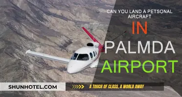 Palmdale Airport: Can Private Pilots Land Here?