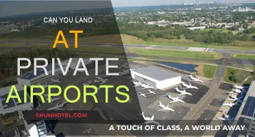Exploring Private Airport Landings: Who Can Access?