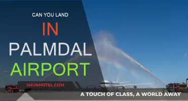 Palmdale Airport: Can You Land Here?