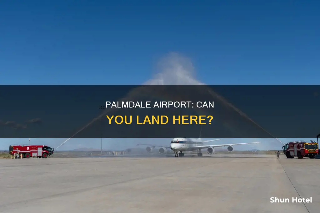 can you land in palmdale airport