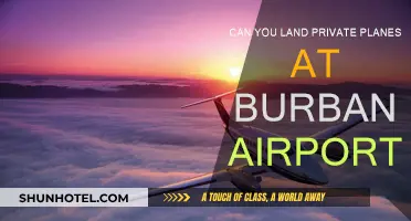 Private Planes at Burbank: Where Can You Land?