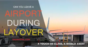 Exploring During Layovers: Can You Leave the Airport?
