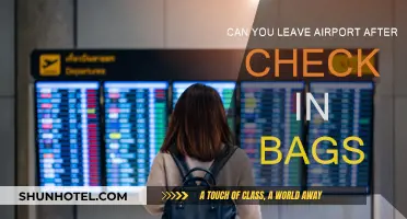 Exploring the Airport: Checked Bags, Now What?