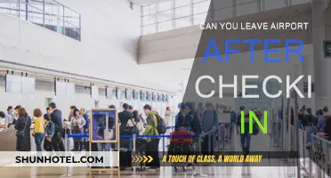 Explore the Airport: Check-in and Go Out