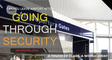 Exploring the Airport: Pre-Flight Security Clearance