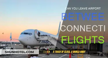 Exploring Beyond the Airport During Layovers